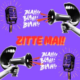 Artwork for ZITTE MAI!