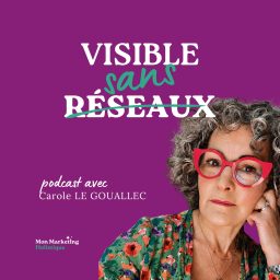 Artwork for Visible Sans Réseaux