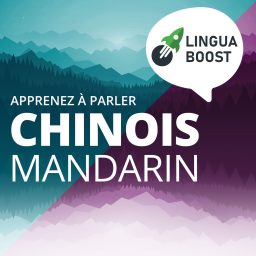 Artwork for Apprendre le chinois avec LinguaBoost
