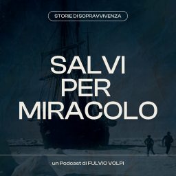 Artwork for Salvi Per Miracolo