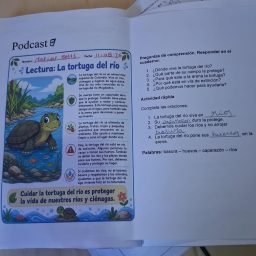 Artwork for La Tortuga del Río