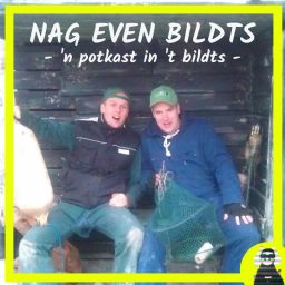 Artwork for Nag Even Bildts