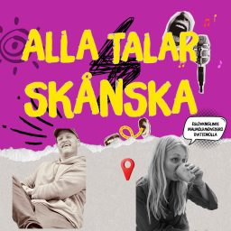 Artwork for ALLA TALAR SKÅNSKA