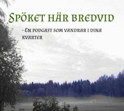 Artwork for Spöket här bredvid