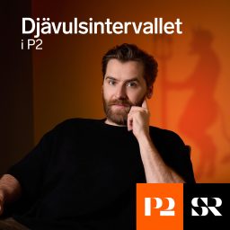 Artwork for Djävulsintervallet