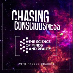 Artwork for Chasing Consciousness