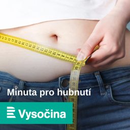 Artwork for Minuta pro hubnutí