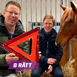 Artwork for 8 rätt