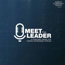 Artwork for Meet The Leader