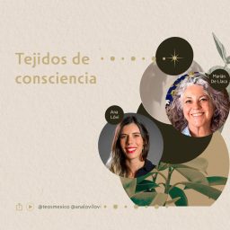 Artwork for Tejidos de Consciencia