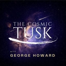 Artwork for The Cosmic Tusk