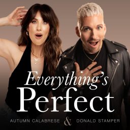 Artwork for Everything's Perfect