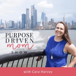 Artwork for Purpose Driven Mom Show