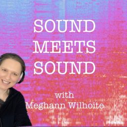 Artwork for Sound Meets Sound
