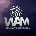 Artwork for World Alternative Media