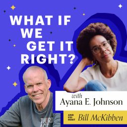Artwork for WHAT IF WE GET IT RIGHT?