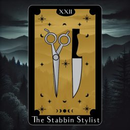 Artwork for The Stabbin Stylist