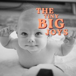 Artwork for The Tiny Big Joys