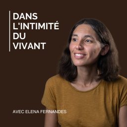 Artwork for Dans l'Intimité du Vivant