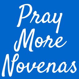 Artwork for Pray More Novenas Video - Catholic Prayers and Devotion