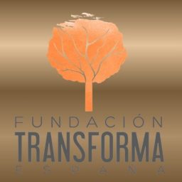 Artwork for Transforma España