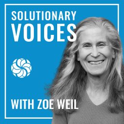 Artwork for Solutionary Voices