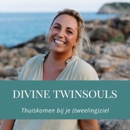 Artwork for Divine Twinsouls