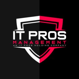 Artwork for The IT Pros Management