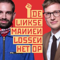 Artwork for De Linkse Mannen lossen het op