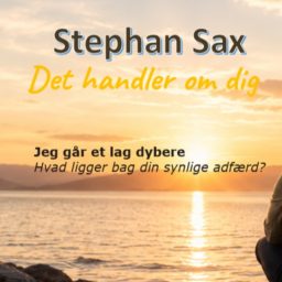 Artwork for Det handler om dig
