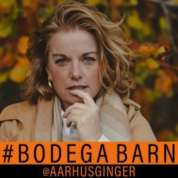 Artwork for BODEGABARN