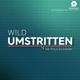 Artwork for WILD UMSTRITTEN