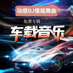 Artwork for 车载音乐