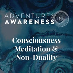Artwork for Adventures in Awareness