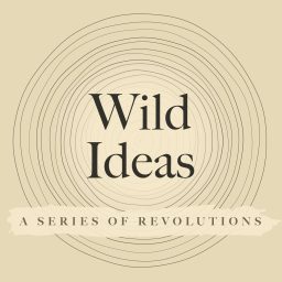 Artwork for Wild Ideas