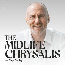 Artwork for The Midlife Chrysalis