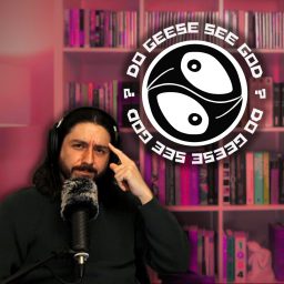 Artwork for Do Geese See God