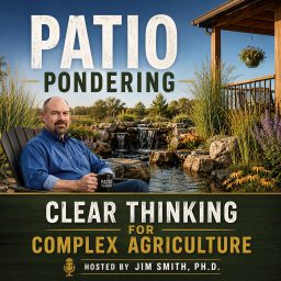 Artwork for Patio Pondering