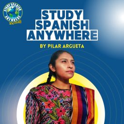 Artwork for Study Spanish Anywhere