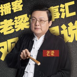 Artwork for 老梁