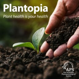 Artwork for Plantopia