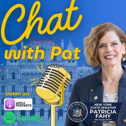 Artwork for Chat with Pat
