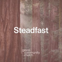 Artwork for Steadfast Sermon Podcast
