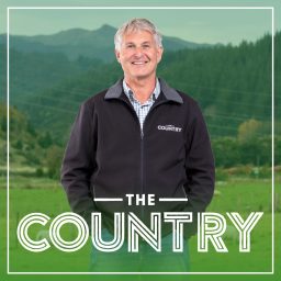 Artwork for The Country