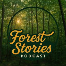 Artwork for Arroe Collins Forest Stories