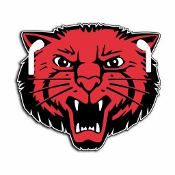 Artwork for Bearcat Wrap-up Podcast
