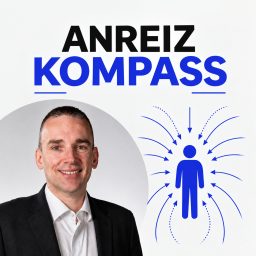 Artwork for Anreizkompass