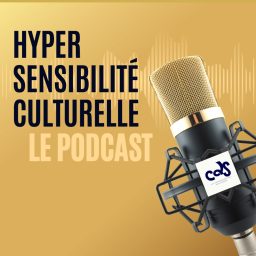 Artwork for Hyper Sensibilité Culturelle