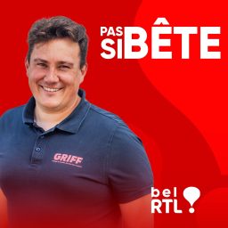 Artwork for Pas si bête