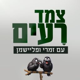 Artwork for צמד רעים | יותם זמרי ואיתמר פליישמן
